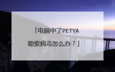 电脑中了PETYA勒索病毒怎么办?