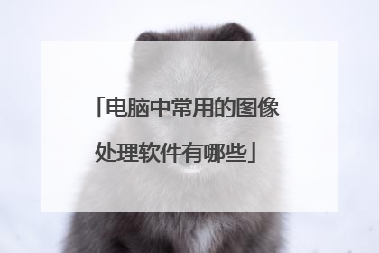 电脑中常用的图像处理软件有哪些