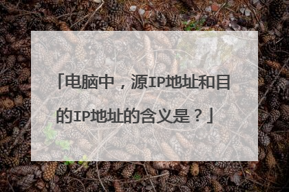 电脑中，源IP地址和目的IP地址的含义是？