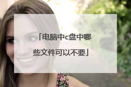 电脑中c盘中哪些文件可以不要