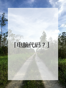 电脑代码?