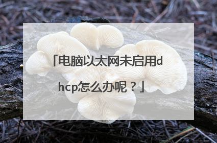 电脑以太网未启用dhcp怎么办呢?