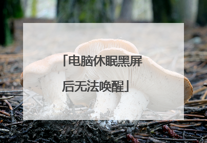 电脑休眠黑屏后无法唤醒