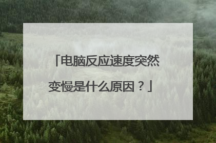 电脑反应速度突然变慢是什么原因?