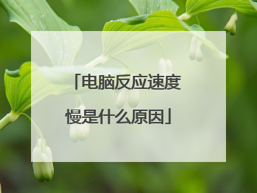 电脑反应速度慢是什么原因