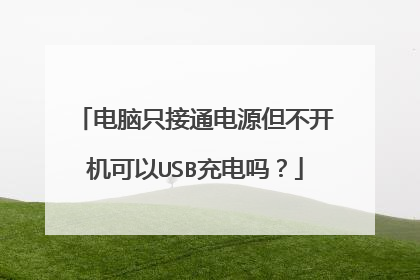 电脑只接通电源但不开机可以USB充电吗?