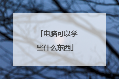 电脑可以学些什么东西