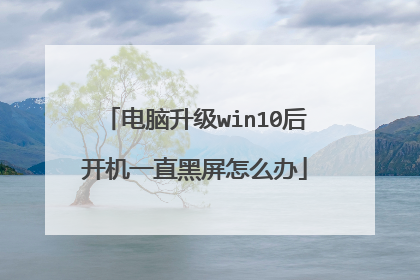 电脑升级win10后开机一直黑屏怎么办