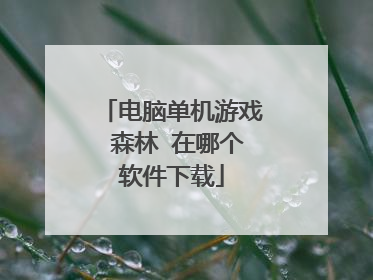 电脑单机游戏 森林 在哪个软件下载