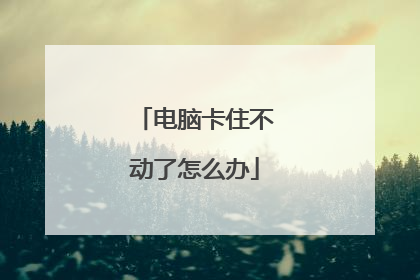 电脑卡住不动了怎么办
