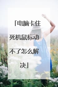 电脑卡住死机鼠标动不了怎么解决