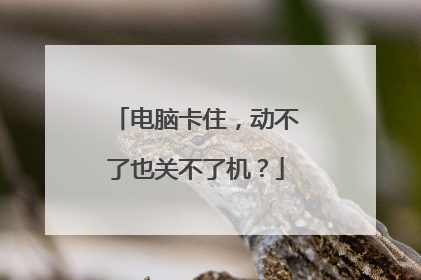 电脑卡住,动不了也关不了机?