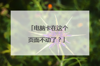 电脑卡在这个页面不动了?