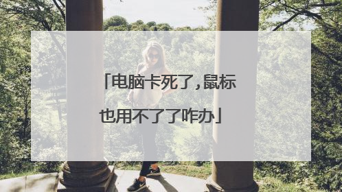 电脑卡死了,鼠标也用不了了咋办