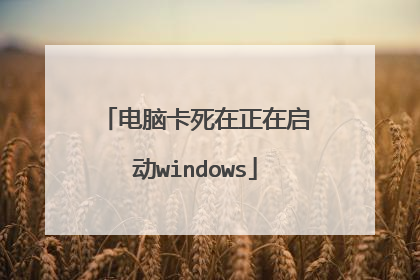 电脑卡死在正在启动windows