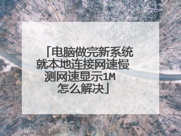 电脑做完新系统就本地连接网速慢测网速显示1M 怎么解决