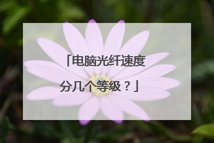 电脑光纤速度分几个等级？