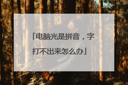 电脑光是拼音，字打不出来怎么办