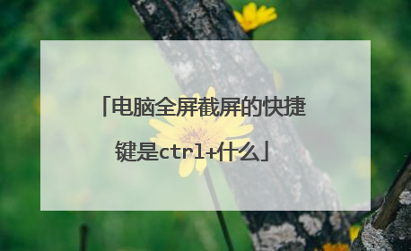 电脑全屏截屏的快捷键是ctrl+什么