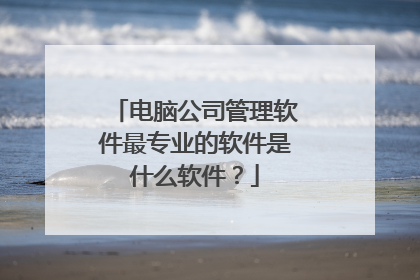 电脑公司管理软件最专业的软件是什么软件?