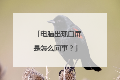 电脑出现白屏是怎么回事?