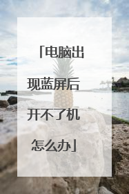 电脑出现蓝屏后开不了机怎么办