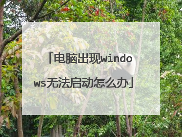 电脑出现windows无法启动怎么办