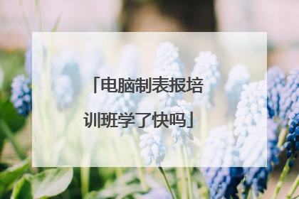电脑制表报培训班学了快吗