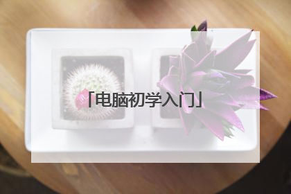 电脑初学入门