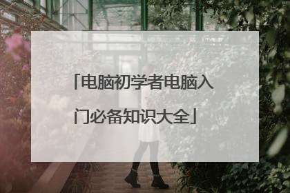 电脑初学者电脑入门必备知识大全