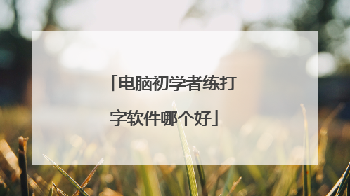 电脑初学者练打字软件哪个好