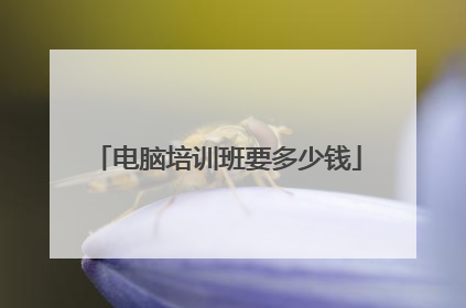 电脑培训班要多少钱