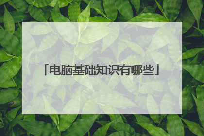 电脑基础知识有哪些