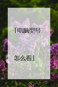 电脑型号怎么看