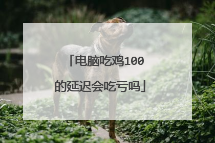 电脑吃鸡100的延迟会吃亏吗