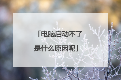 电脑启动不了是什么原因呢