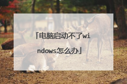 电脑启动不了windows怎么办