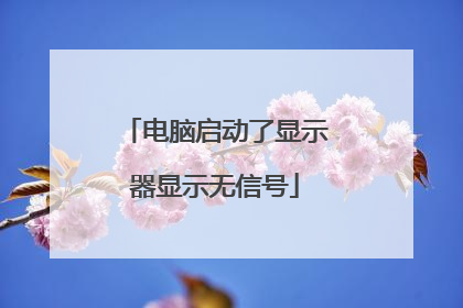电脑启动了显示器显示无信号