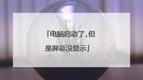 电脑启动了,但是屏幕没显示