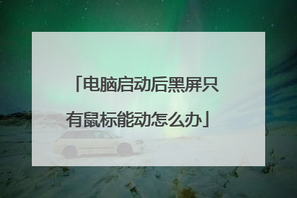 电脑启动后黑屏只有鼠标能动怎么办