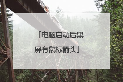 电脑启动后黑屏有鼠标箭头