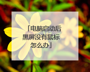 电脑启动后黑屏没有鼠标怎么办