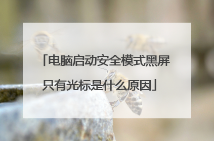 电脑启动安全模式黑屏只有光标是什么原因
