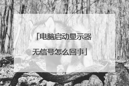 电脑启动显示器无信号怎么回事