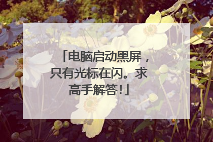 电脑启动黑屏,只有光标在闪。求高手解答!