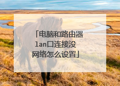 电脑和路由器lan口连接没网络怎么设置