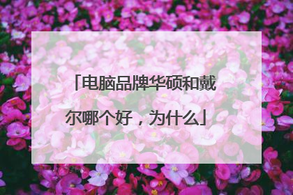 电脑品牌华硕和戴尔哪个好,为什么