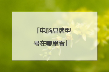 电脑品牌型号在哪里看