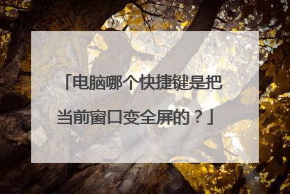 电脑哪个快捷键是把当前窗口变全屏的？