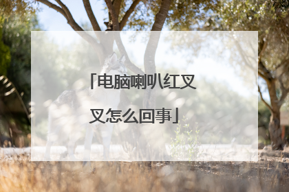 电脑喇叭红叉叉怎么回事